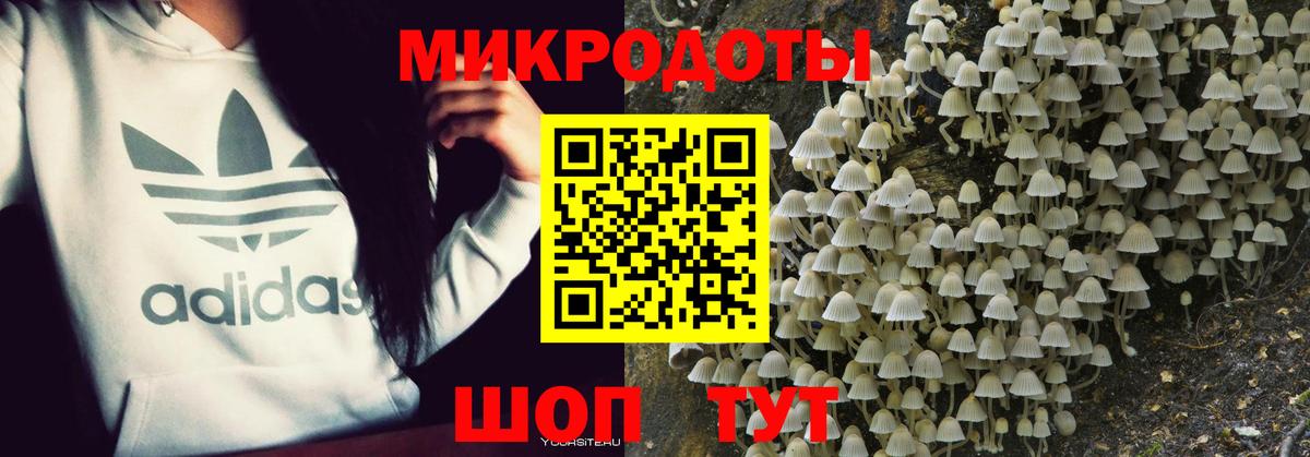 Галлюциногенные грибы ЛСД Курчалой