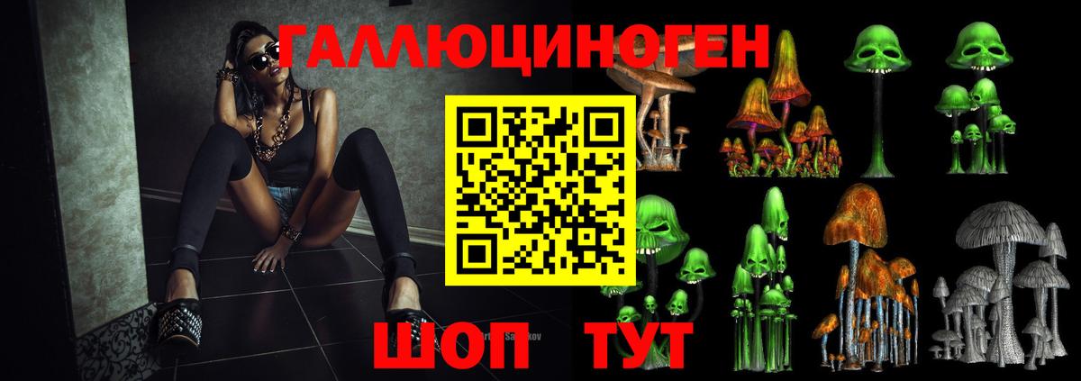 как найти   Галлюциногенные грибы Cubensis  Вход с VPN  Курчалой 