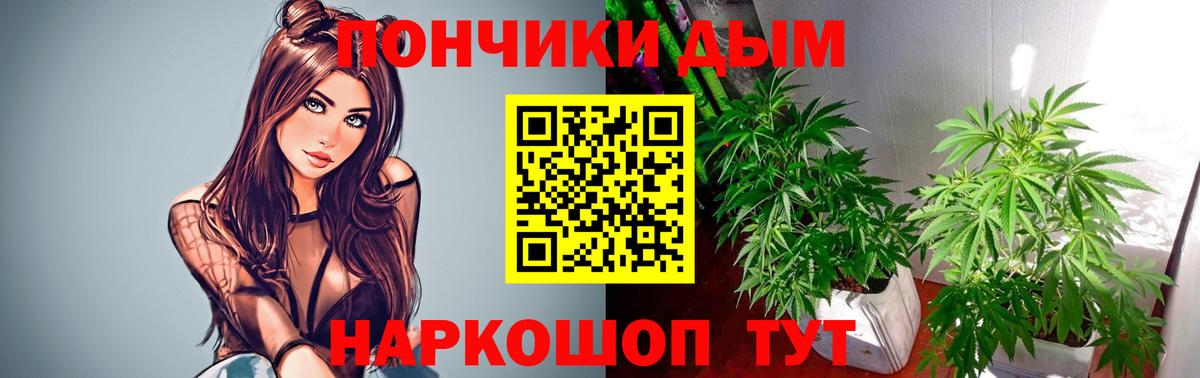 Бошки Шишки THC 21% Курчалой